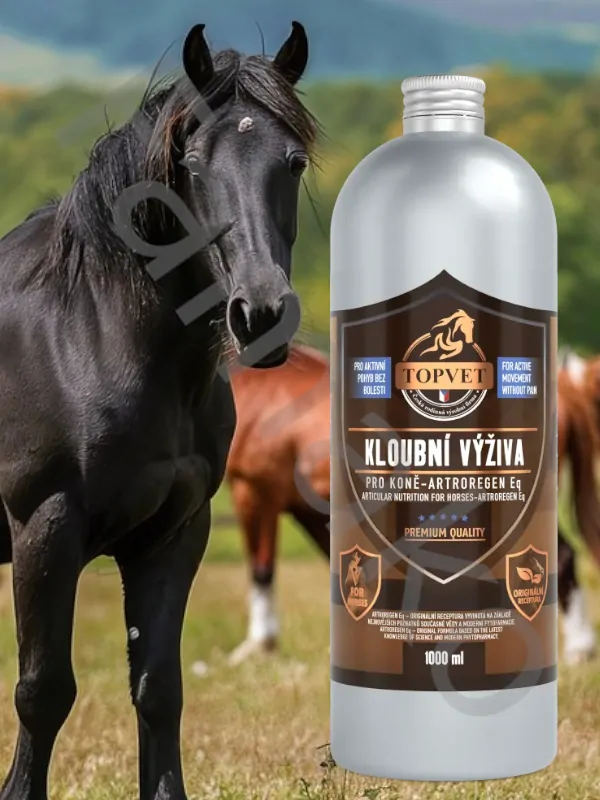 Sirup Kloubní výživa Artroregen Eq 1000 ml