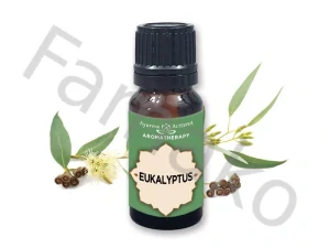 100% esenciální olej EUKALYPTUS GLOBULUS - 10 ml