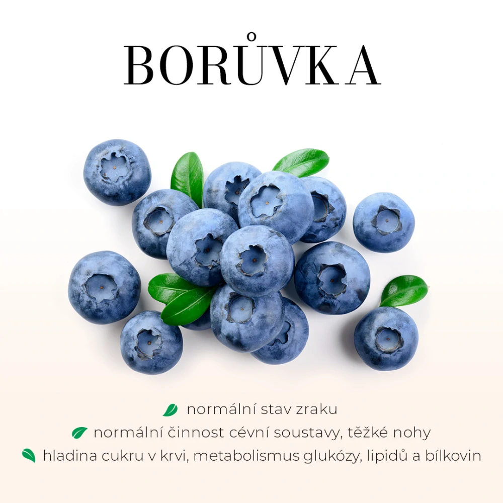 Krevní cukr bezlihová tinktura - kapky 25 ml
