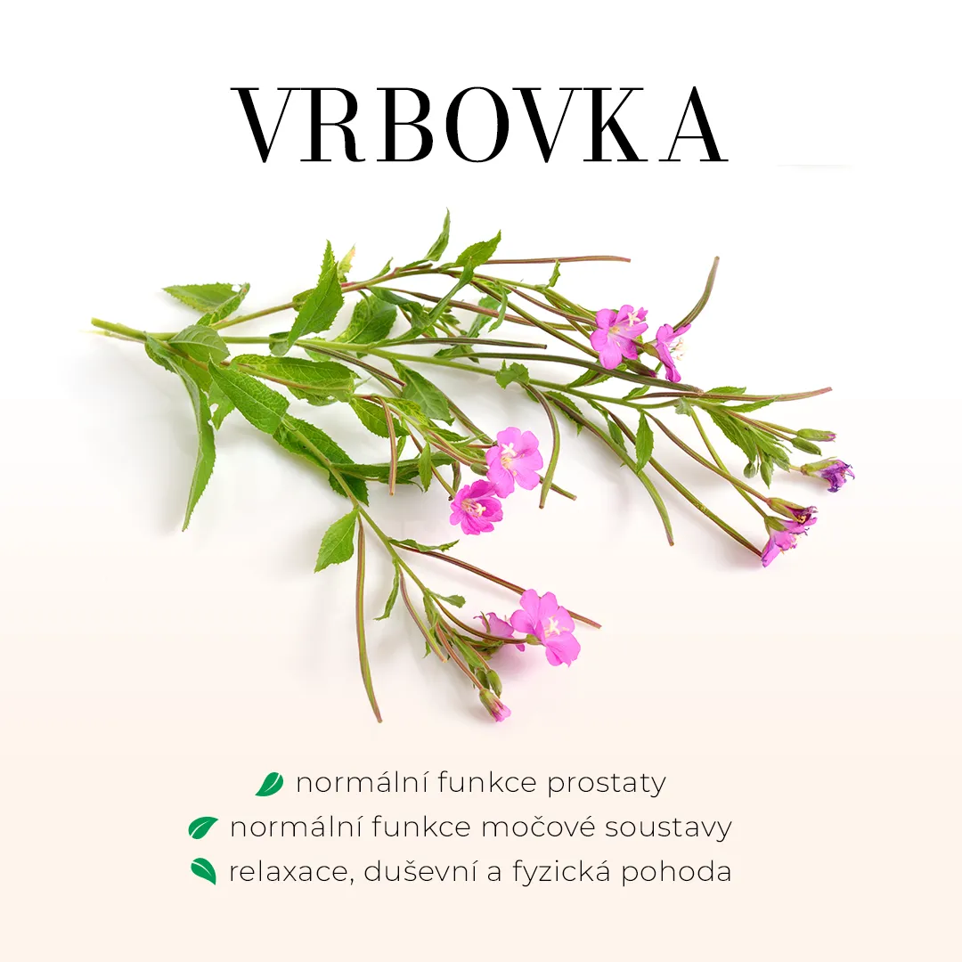 Vrbovka - bezlihová tinktura 100 ml