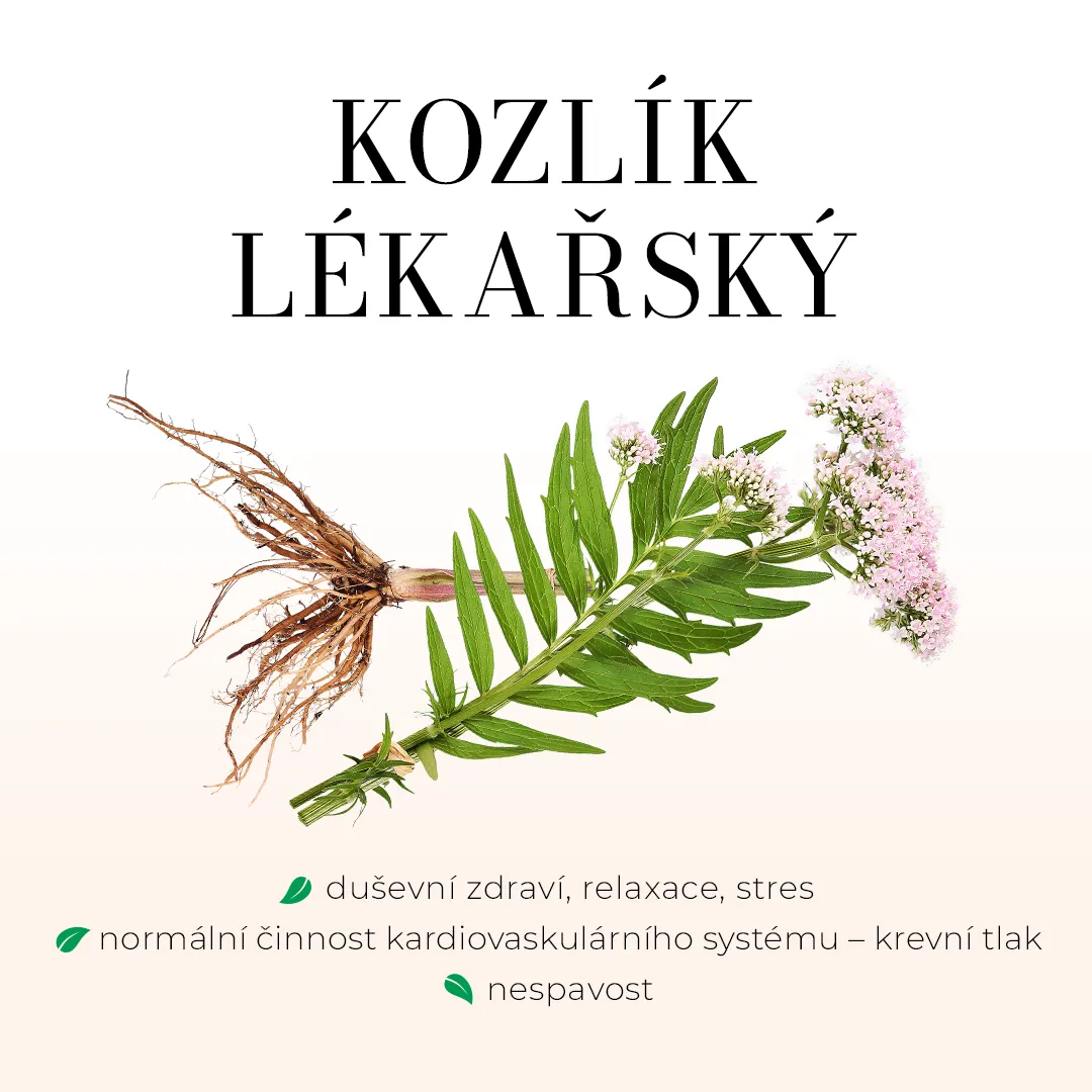 Kozlík - bezlihová tinktura 100 ml