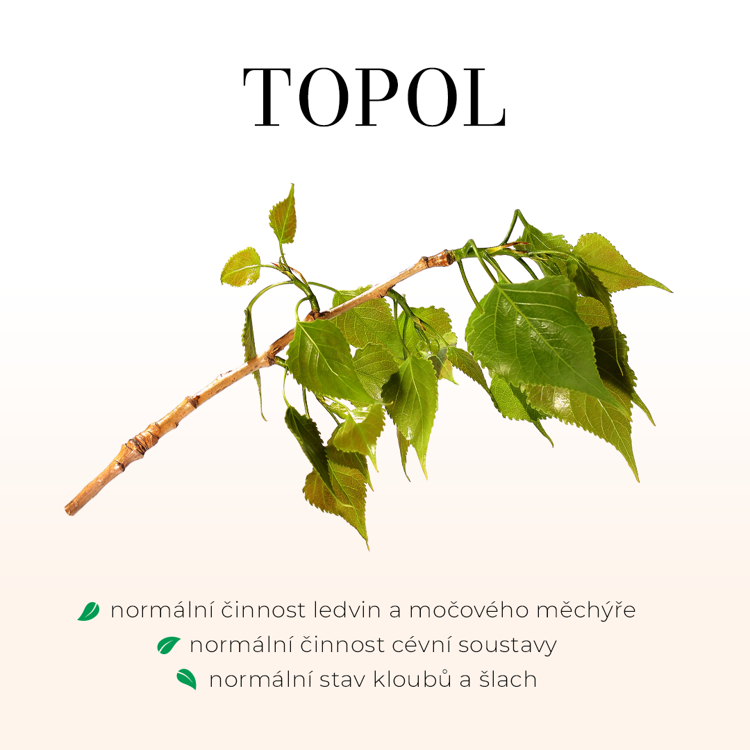 Topol černý tinktura - kapky 50 ml
