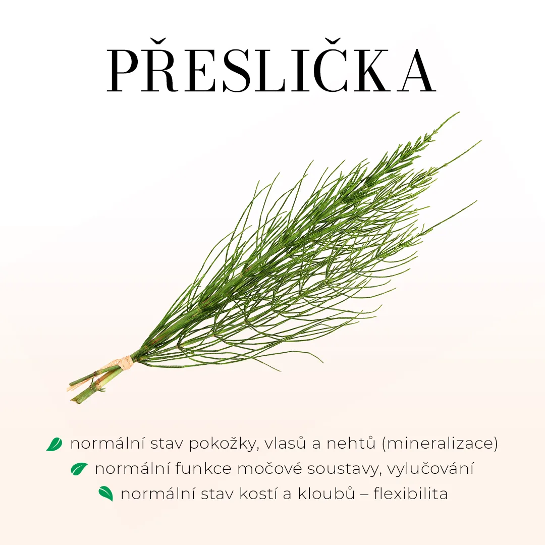 Hairbeauty - krásné vlasy