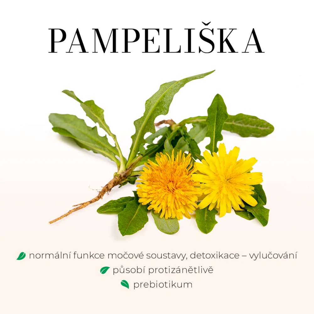 Krevní cukr bezlihová tinktura - kapky 25 ml